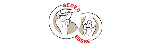 29 SECEC-ESSSE CONGRESS - POZNAŃ 2021 · POLAND 